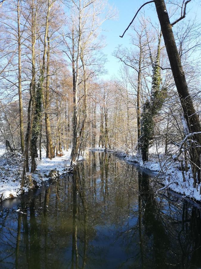Gruener Wald Appartement Burg Kauper Buitenkant foto