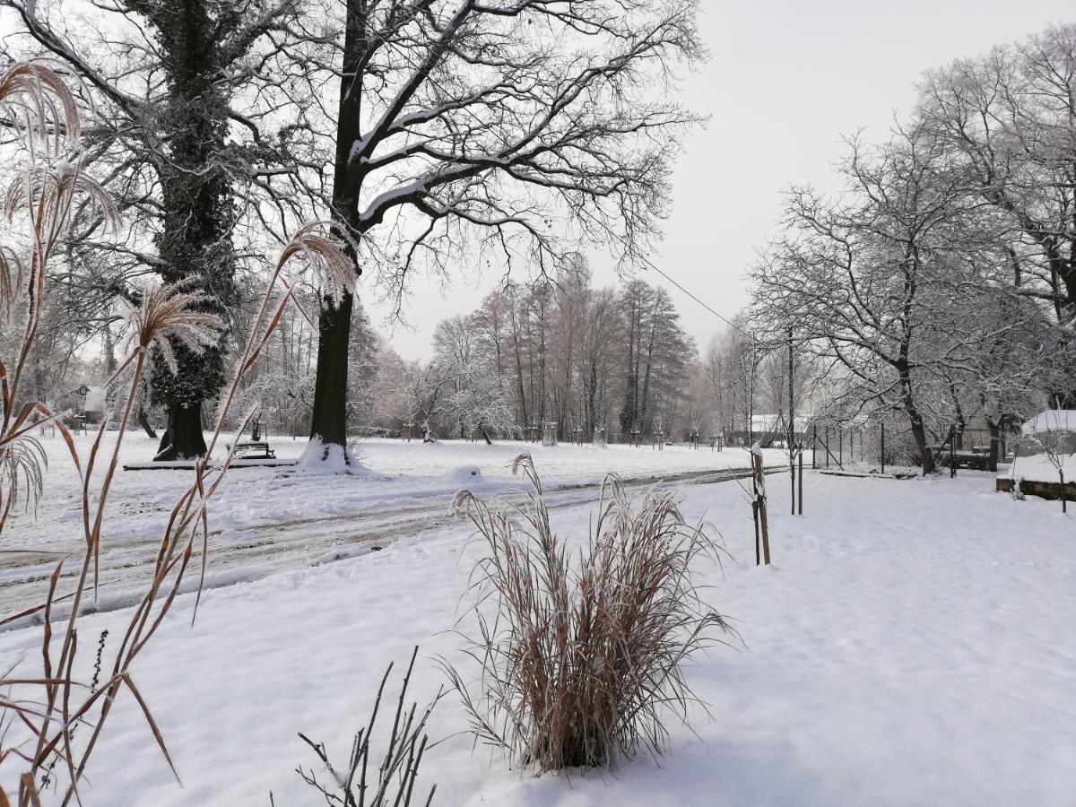 Gruener Wald Appartement Burg Kauper Buitenkant foto